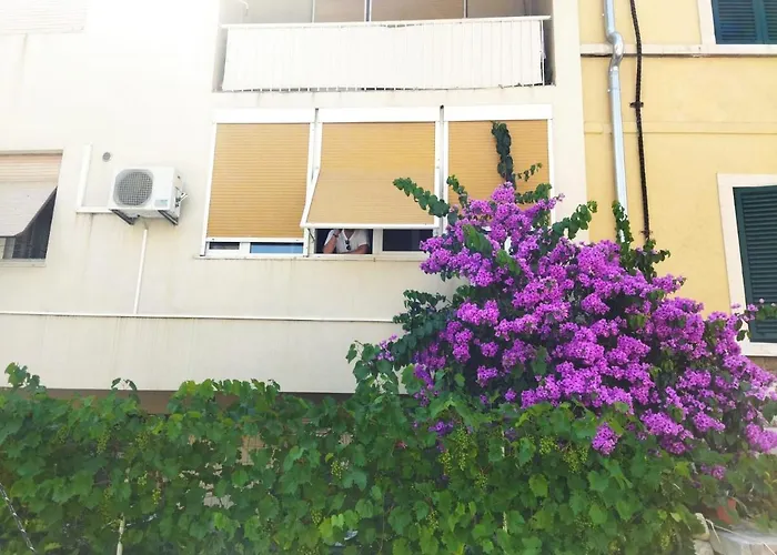 Apartments Lucac Manus
