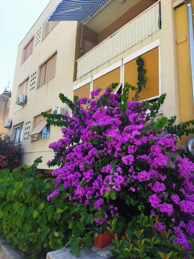 Lucac Manus Appartement *